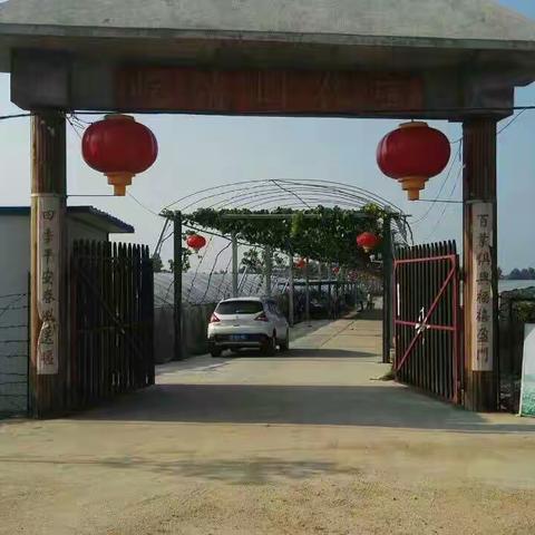 葡萄采摘------游园会
