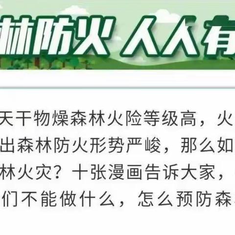 白山市第十中学 安全教育之森林防火十不准！