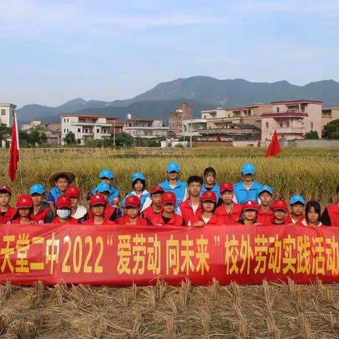 “爱劳动，向未来”— —天堂二中劳动教育系列活动