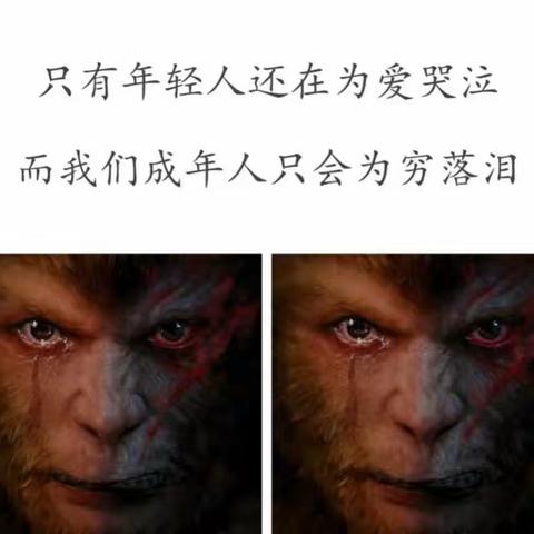 【当代.短诗】流浪记——山里光伏