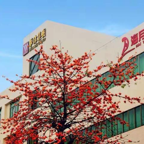 齐心协力，共创佳绩——海月学校八年级生地中考备考会议