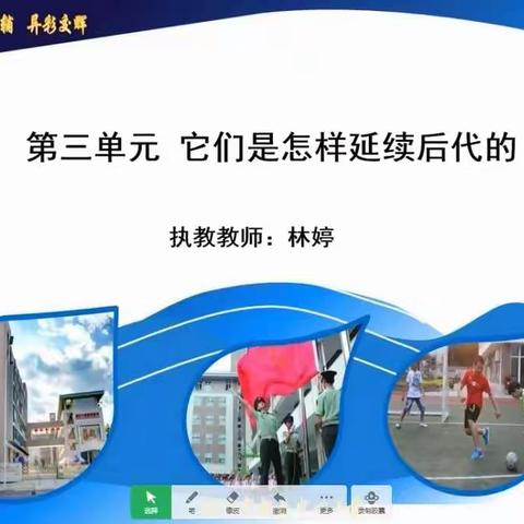 它们是怎样延续后代的| 铜小五年级空中课堂科学课