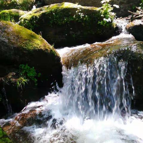 夯实教研 让课堂活起来