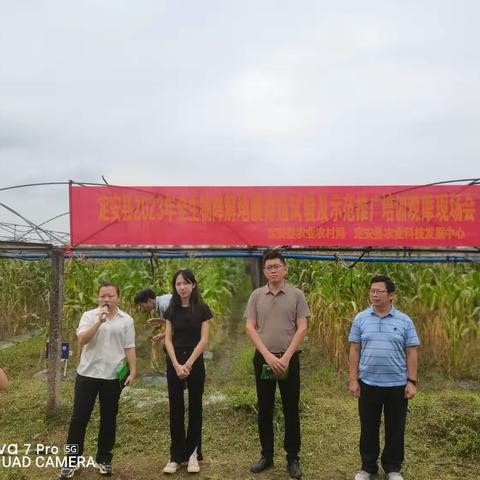 定安县农业科技发展中心召开定安县全生物降解地膜筛选试验及示范推广技术培训观摩会