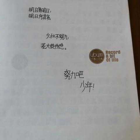纪子蝶近期日记