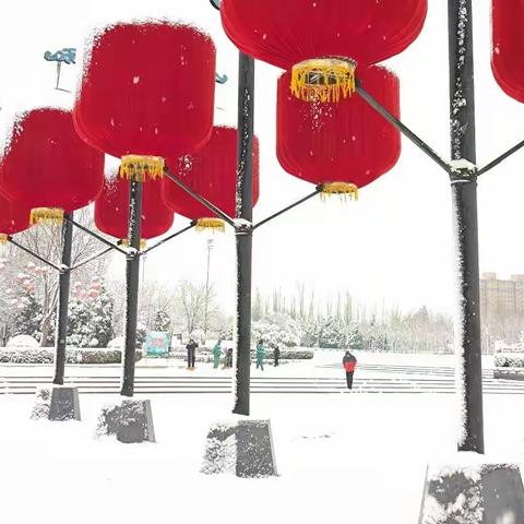 赏雪景