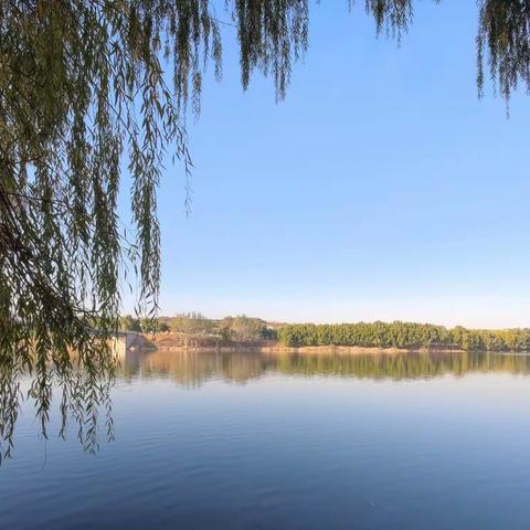 骑行凤栖湖   秋日观美景