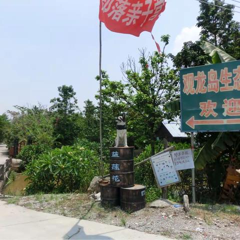 在观龙岛走了一圈
