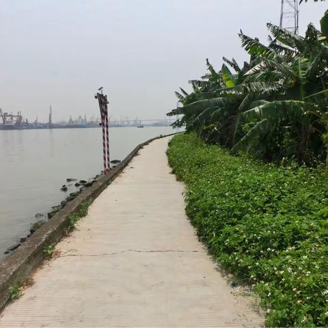 初夏大吉沙岛半日游