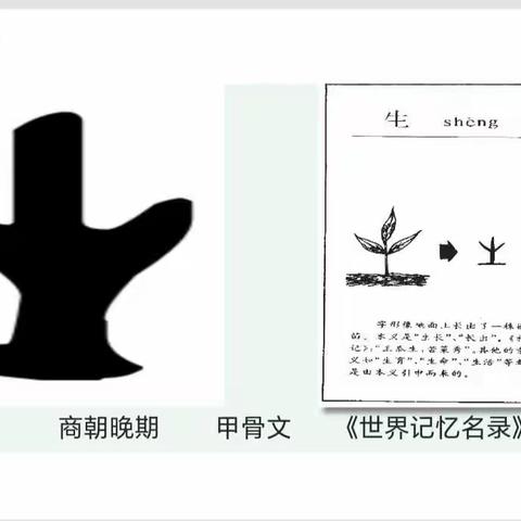 “双新”背景下生物学有效教学策略的研讨