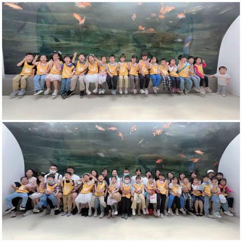 🌈耀华甘泉幼，庆六一——龙门海洋馆半日游