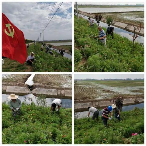 二三产党支部开展党员固定活动日活动