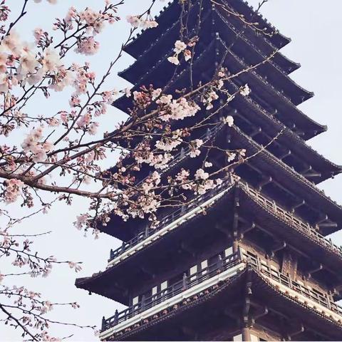 宜兴森林公园的春夏秋冬