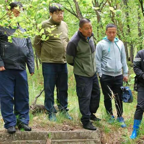 揭秘 “半截河要塞——西大营”阵地的历史谜团 ￼