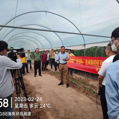 东方市召开豇豆质量安全监管现场推进会