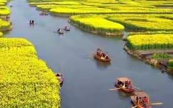 军测七队战友群诗画趣味相册 （2017年11月16日）