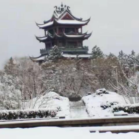 桐城在大雪复盖中