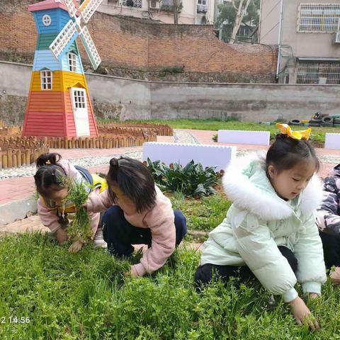 南华幼儿园苹果班——在草长莺飞的春天里，我们共同播种希望。