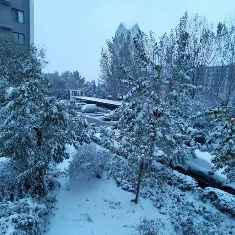 立冬雪至防安全——齐都花园小学恶劣天气安全提示