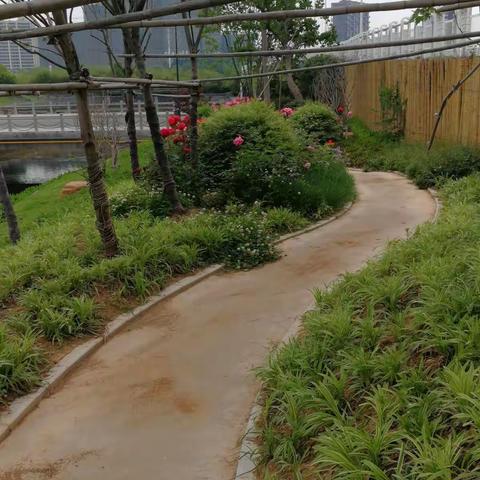 曲径通幽藏红粉， 身居闹市不与尘。