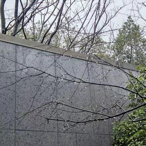 初春的锦里江澜……
