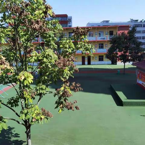 活力新学期，召陵区人民路小学开学了