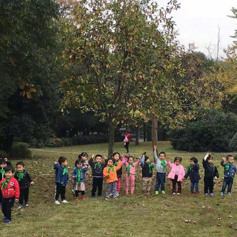 机关幼儿园宝宝班秋游记！