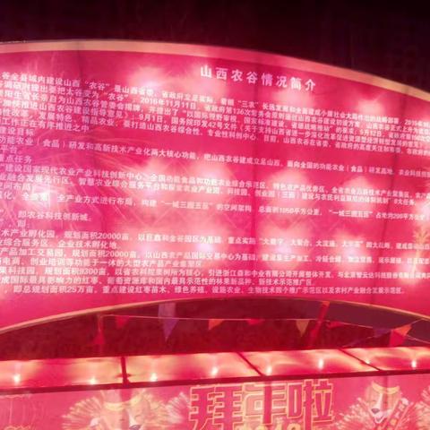2018年金谷广场春节灯展