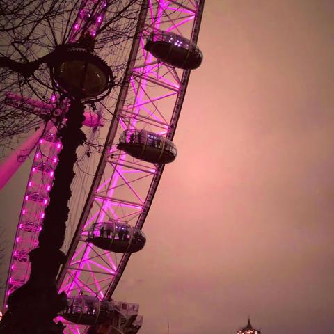 昨天（女王葬礼）。我找几张照片，想想。