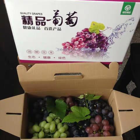 我的美篇