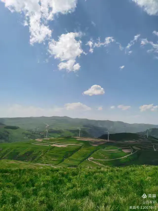 蔚县麻田岭天气预报在线 蔚县麻田岭天气预报在线
