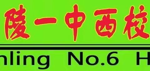 不断学习，共同进步——记兰陵六中高一数学教师外出学习培训活动