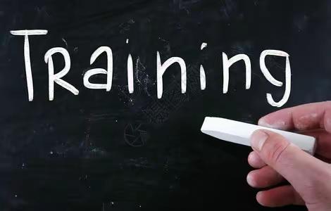 深入学校调研  赋能高效培训