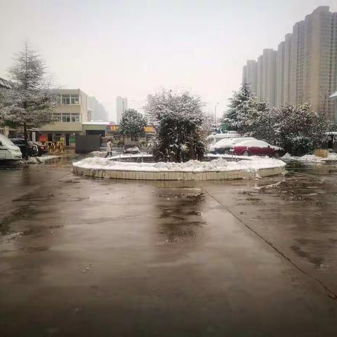 【未央监管】积极应对极端天气    及时除雪确保平安