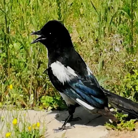 巜母亲河畔足迹》