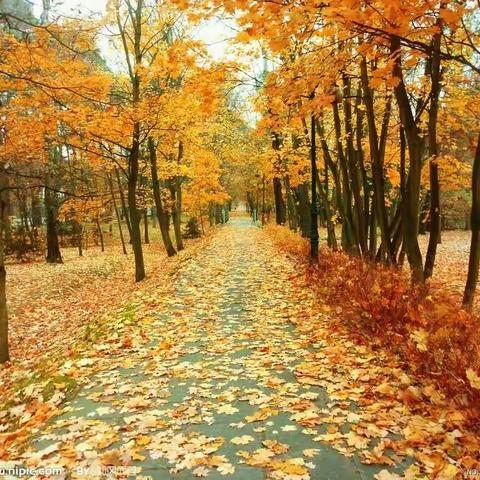 中五班的宝贝们加油！