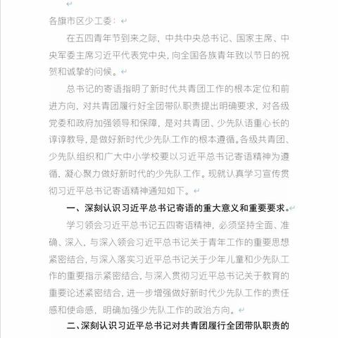 陈巴尔虎旗民族小学组织中队辅导员学习习近平总书记五四寄语精神