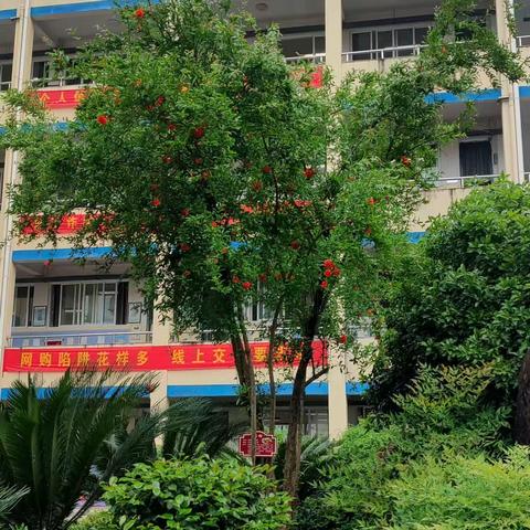 创建文化校园，润泽生命成长——山口镇中学第十一周值周记录