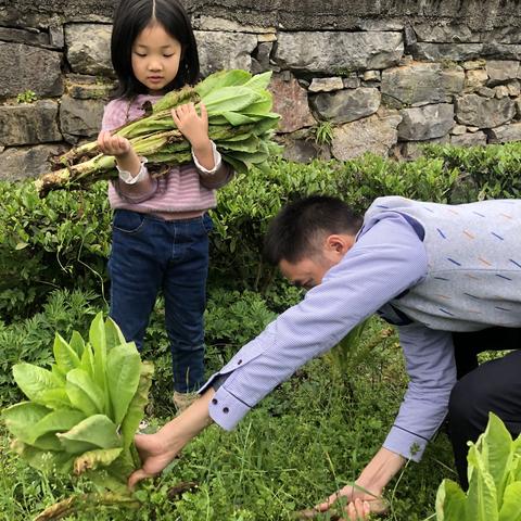 亲近自然，收获快乐--我是摘菜小能手🥬