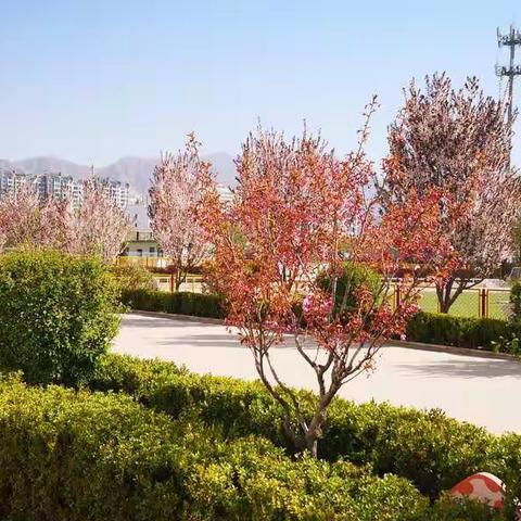 走进29°C的移民小学