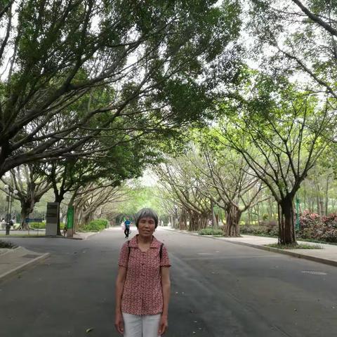 深圳莲花山公园