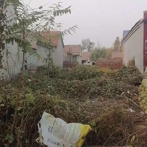 济阳街道肖王村环境提升
