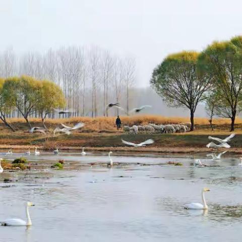 《红村的感动》