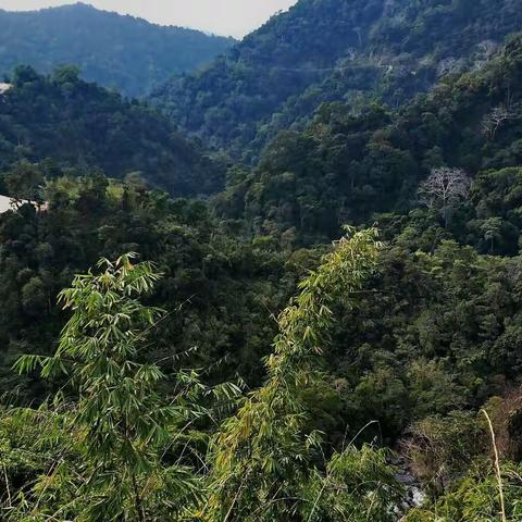 《拍鸟万里行》