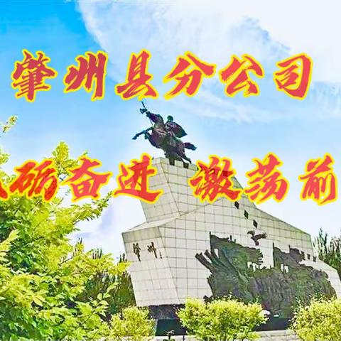 肇州县分公司发展经营动态