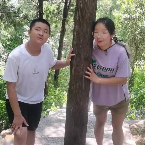 云龙山