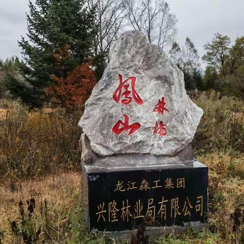 凤山林场春节收心会