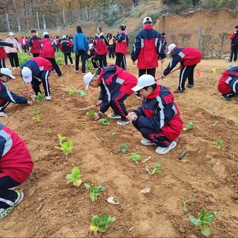 岳阳市第十中学七年级“习田间农事，悟耕耘之道”2021年秋季研学活动