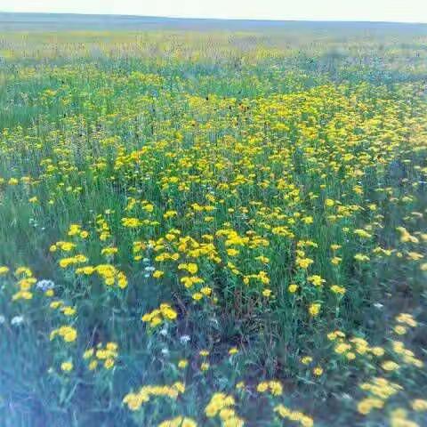 曾经走过的青葱岁月一我的13班(2017届)