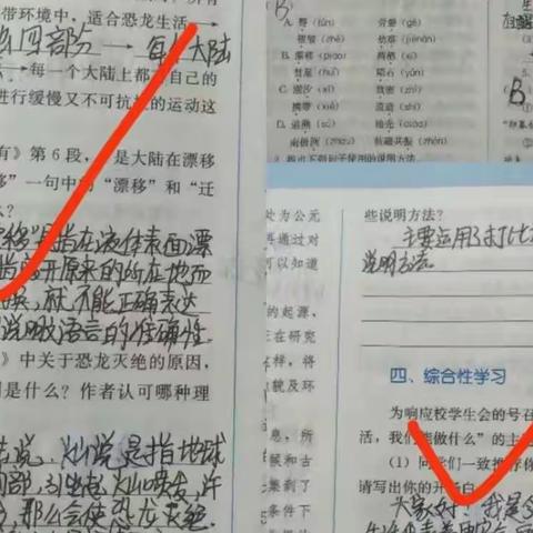 雅河中学八.二班网课语文学习纪实（雅河中学八年二班班长杨蕙竹——原创）